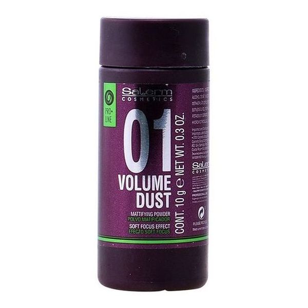 Tratament pentru Volum Volume Dust Salerm (10 g)